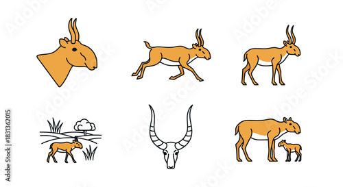 Saiga Antelope Wildlife Collection.