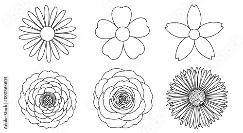 Flower illustrations vector pack pink flowers floral designs art