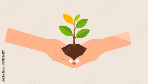 Hands holding a small plant with green and yellow leaves growing from soil.