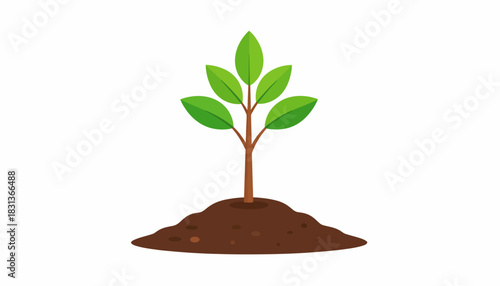 Illustration of a young plant growing in soil with green leaves.