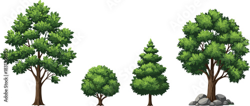 Set of four detailed vector tree illustrations in different shapes, including pine and broadleaf, representing nature, landscape, park, or game environment assets on a clean background.