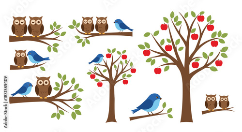 A cute collection of cartoon owls and blue birds perched on tree branches and in apple trees isolated on a white background.