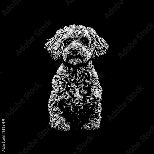 Doxiepoo sitting calmly, showcasing its curly coat, floppy ears, and expressive eyes. The intricate linework emphasizes the dog’s texture.