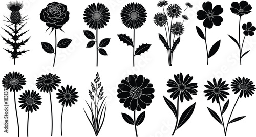 Large set of sixteen black vector floral silhouettes, including rose, thistle, daisy, and sunflower, representing spring, nature, gardening, 