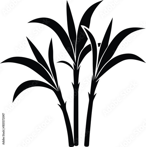 Sugarcane plant silhouette vector illustration

