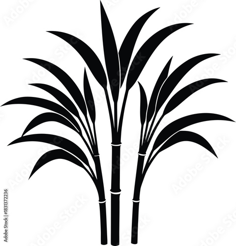 Sugarcane plant silhouette vector illustration
