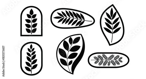 Vector leaves icons collection nature design element set bundle