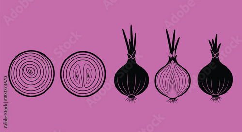 Onion vector illustration set of whole and sliced onions icon
