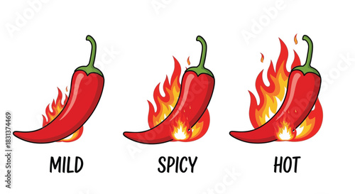 Spicy food level guide red chili pepper heat scale illustration