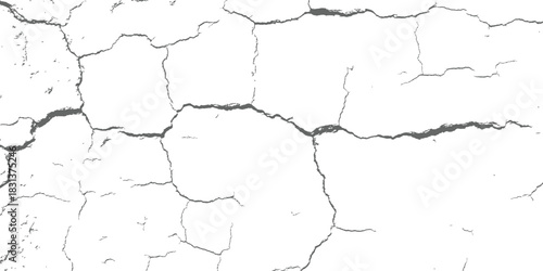 Vector Cracked Surface Distress Overlay Black and White Grayscale Grunge Texture Abstract Aged Background Pattern