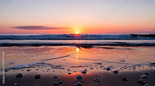 The sun setting over the ocean, reflecting on the wet sand and shells.