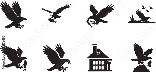 Silhouette Imagery of Eagles and Simple House Illustration