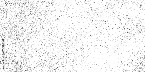 Black and White Grunge Spray Paint Texture Dust Speckles Overlay Rough Noise Background Vector Illustration