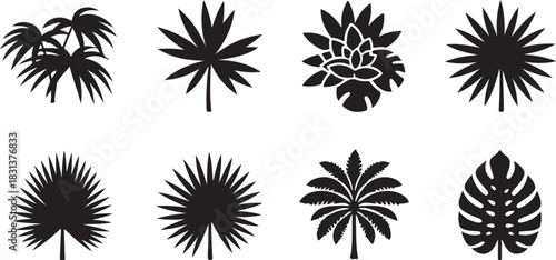Tropical Leaves Silhouettes Assortment Isolated