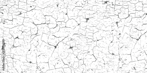 Grunge Crackle Texture Overlay Vector Black and White Distressed Background