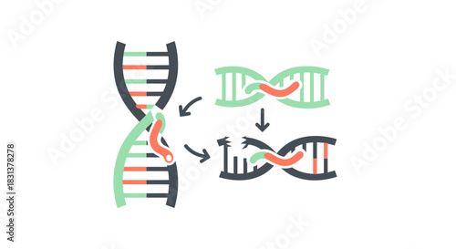 Explore innovative DNA repair process for gene therapy and medical research breakthroughs, envisioning a future of personalized medicine and genetic solutions