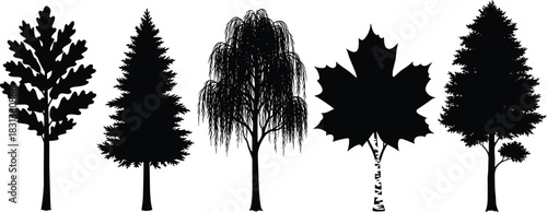 Tree silhouette clipart, black vector trees, nature icons, forest design elements, botanical graphics, landscape illustration, species comparison, white background