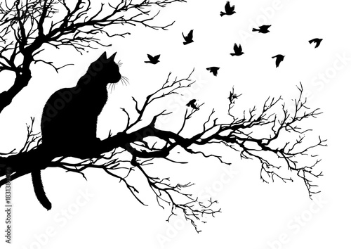 Silhouette of a Cat Sitting on a Tree Branch with Birds Flying Above