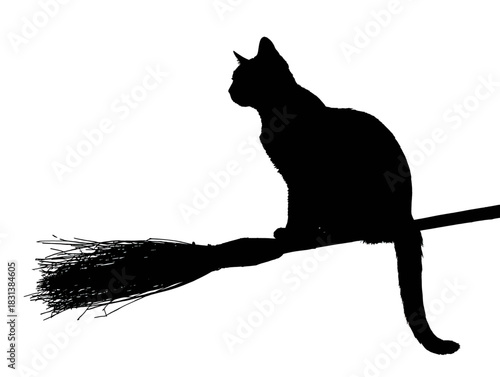 Silhouette of a witch's black cat sitting on a magical broomstick, isolated on a white background