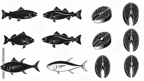 Assortment of Fish Illustrations - Whole and Sliced.
