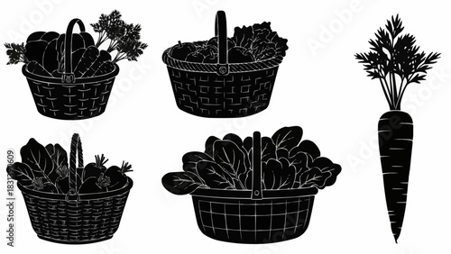 Harvest Baskets and Carrot Illustration.