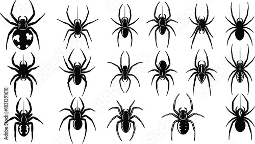Black Vector Silhouettes of Spiders and Tarantulas, Creepy Halloween and Horror Insect Icons, Dangerous Arachnid Collection with Hairy Legs for Graphic Design, Isolated on White Background.
