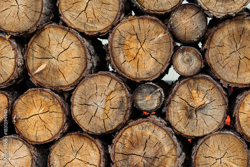 Dark colored tree ends used for firewood