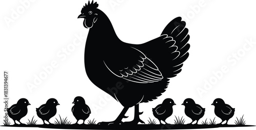 Detailed black vector silhouette of a chicken hen and her cute brood of baby chicks, isolated graphic for farm logo and agriculture design.