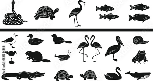 Large vector silhouette collection of various aquatic and wetland animals including reptiles, fish, birds, and amphibians, isolated illustration set for ecology.