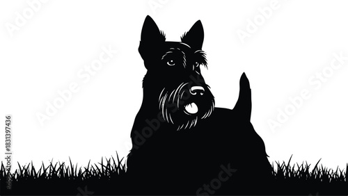 Silhouette of a Scottish Terrier dog sitting in grass.