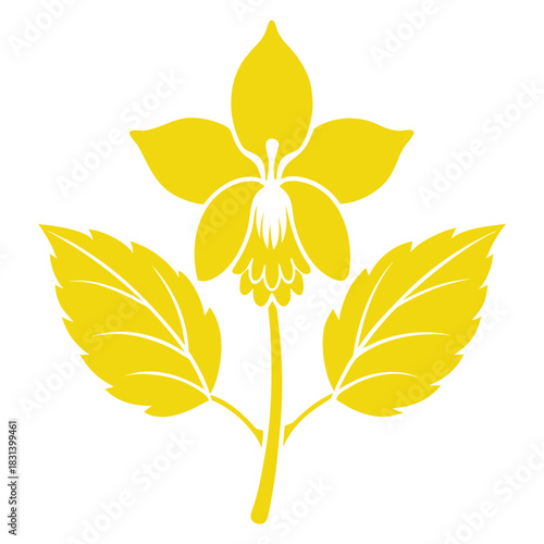 yellow archangel flower silhouette on white background