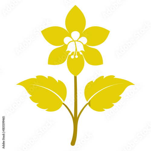 yellow archangel flower silhouette on white background