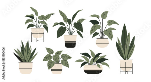 A beautiful collection of various green houseplants in stylish ceramic pots is arranged together in a modern flat design.