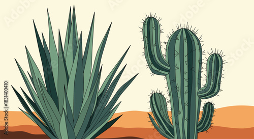 An agave plant and a saguaro cactus are depicted in a stylized illustration of a warm and arid desert landscape.