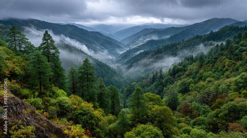 Obraz premium A misty mountain range beneath cloudy sky concept. Misty forested valley surrounded by majestic mountains and greenery.