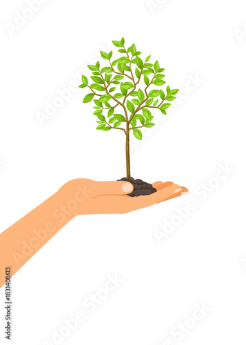 Hands holding tree shoots for reforestation stock illustration