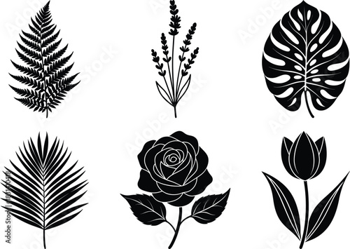 Botanical Floral and Leaf Silhouette Vector Collection for Nature Design