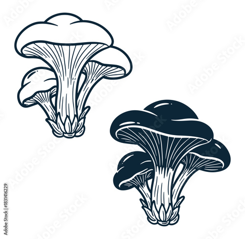 Stylized mushroom illustrations showing detailed renderings perfect for botanical and nature designs