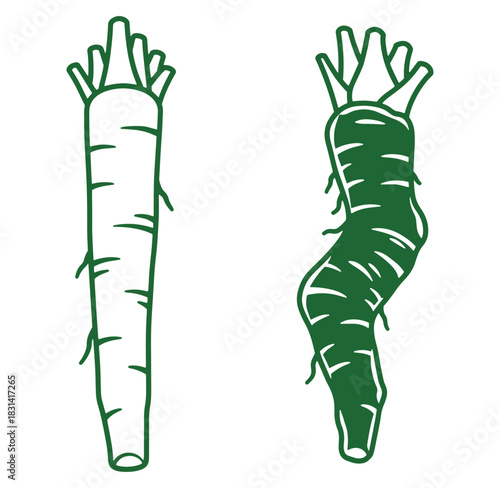 Two isolated green outline illustrations of fresh parsnip vegetables on white background