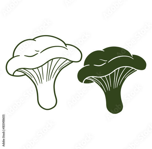 Two stylized chanterelle mushrooms vector illustration in outline and solid dark green color