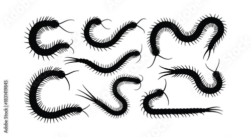 A collection of black butterfly silhouettes arranged in a simple grid pattern