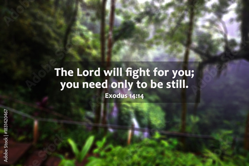 Bible verse quote - The Lord will fight for you, you need only be still. Exodus 14:14 on blur background of green nature forest with the hidden waterfall. Christianity faith concept. Religious words.