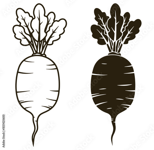 Vector illustration of two simple black and white radishes with detailed leaves design