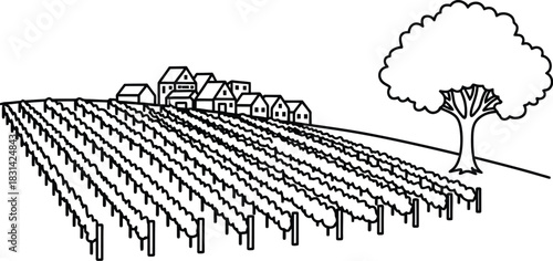 A picturesque vineyard landscape with rolling hills and a solitary tree