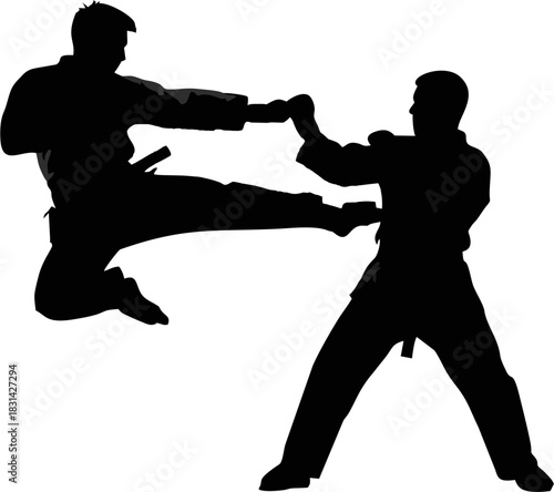 Martial art