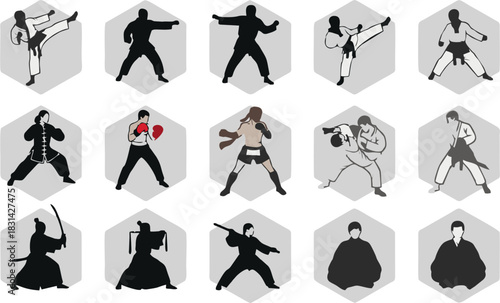 Martial art icon