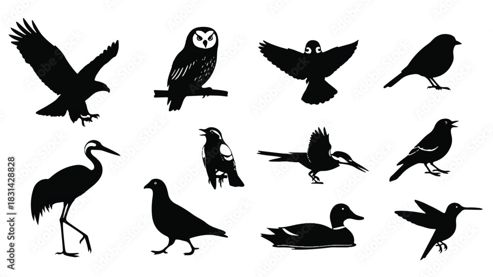 Obraz premium Collection of various bird silhouettes in black and white.
