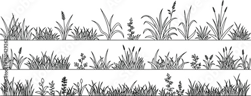 Line art illustration displaying multiple rows of various grasses and wildflowers