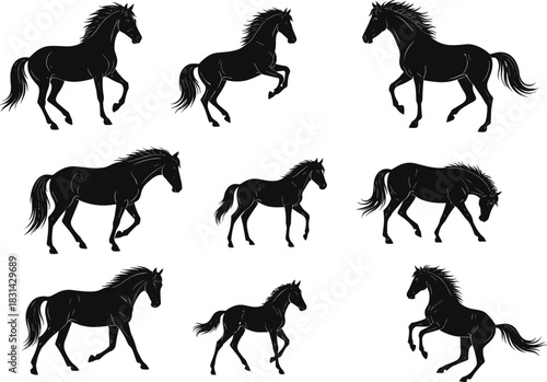 Horse silhouettes collection, galloping, trotting, rearing, walking, running, equine poses, animal motion, black shapes, flat vector