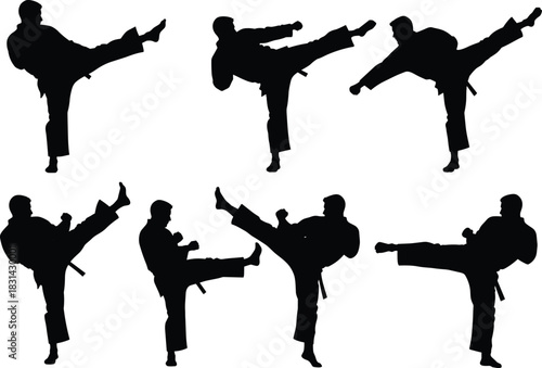 Martial artists performing high kicks, karate taekwondo poses, combat training, self-defense flat vector illustration